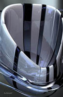 Vase Evanescent_02PetTab.jpg - 24477 Bytes